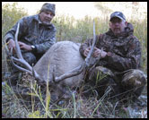 Nice Elk with Hunters