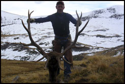 Wow that is one huge elk