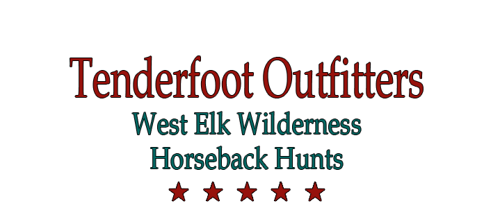 Tenderfoot Outfitters West Elk Wilderness Horseback Hunts