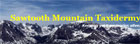 Sawtooth Mountain Taxidermy
