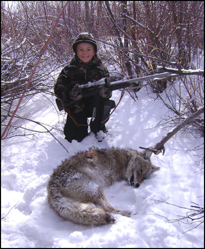 Coyote Hunts in Gunnison Colorado