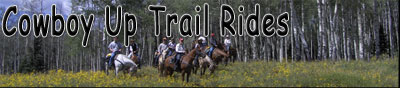 Cowboy Up Trail Rides